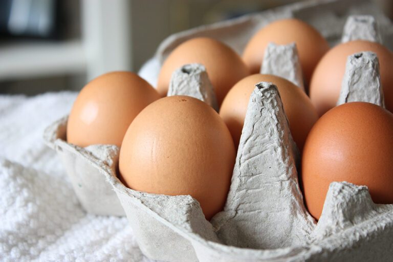 Difference Between Free-Range, Cage-Free, and Pasture-Raised Eggs: Which Is Best for You?